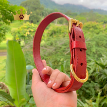 Cargar imagen en el visor de la galería, Collares de Cuero
